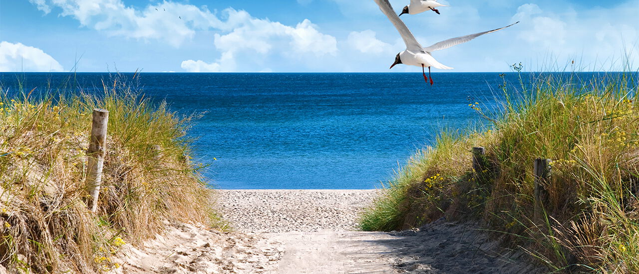 Ferienwohnung an der Ostsee mieten